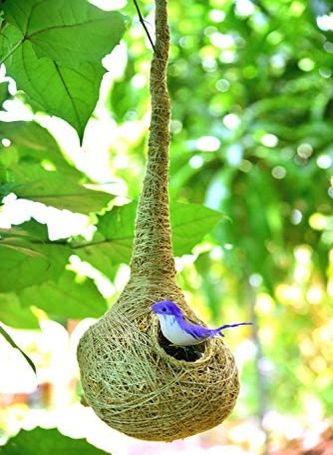 USIRA Safest Round Organic Bird nest Purely Handmade Sparrow/Small Birds,Natural Vetiver Root Bird Nest With 1 Artificial Bird combo - Image 5